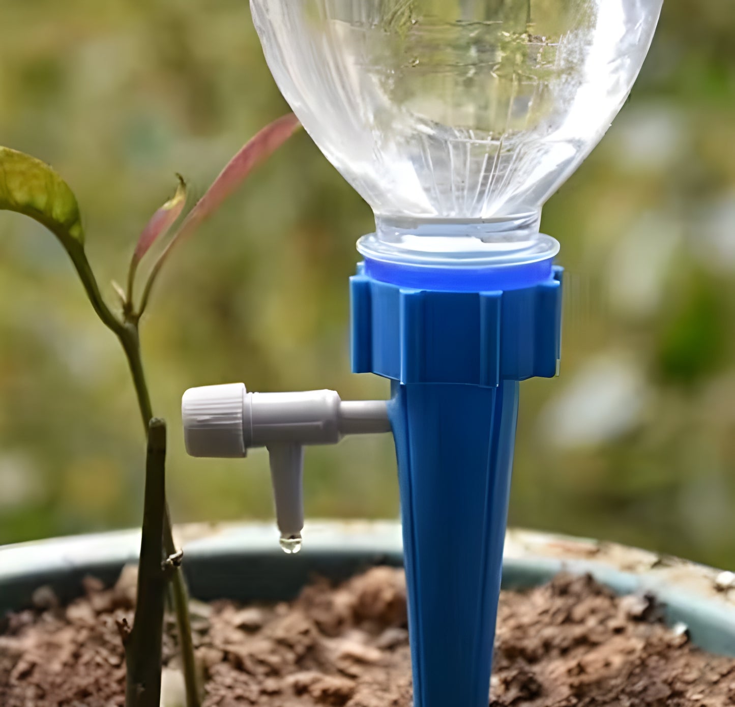 Auto Plant Watering Device- 12 pieces