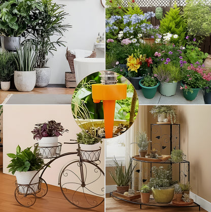 Auto Plant Watering Device- 12 pieces